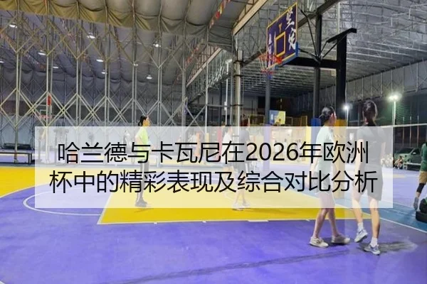 哈兰德与卡瓦尼在2026年欧洲杯中的精彩表现及综合对比分析